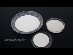 ডিটারজেন্ট এনজাইম প্রোটিজ সেলুলেস অ্যামাইলেজ