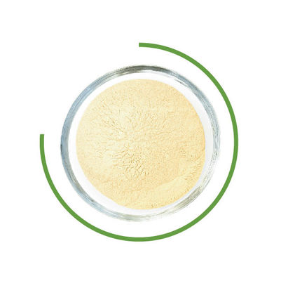 ভালো দাম টেক্সাইল শিল্পে ট্রাইকোডার্মা রেসিই সেলুলাস ওয়াশিং পাউডার মাইক্রোবিয়াল এনজাইম অনলাইন