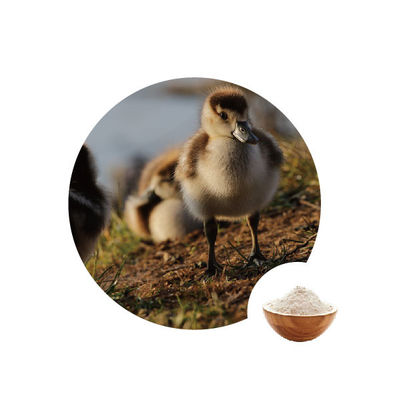 ভালো দাম খাদ্য শিল্পে 10000u জি গ্লুকোজ অক্সিডেসেস ইস নম্বর 1.1.3.4 পোল্ট্রি এনজাইম অনলাইন