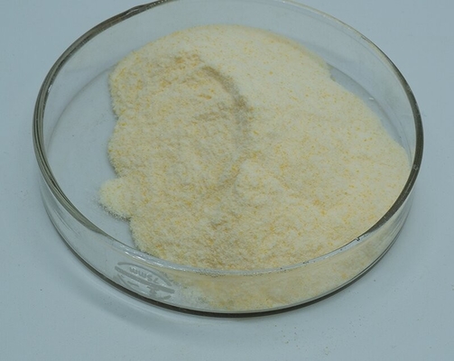 ভালো দাম 99% কার্যকলাপ Xylanase এনজাইম খাদ্য সংযোজন জল দ্রবণীয় অনলাইন