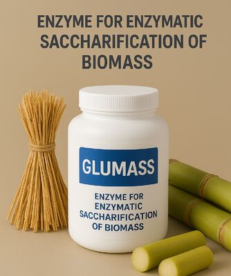 ভালো দাম সম্পূর্ণ জৈববস্তু শস্যে পরিণত করার জন্য উচ্চ-দক্ষ এনজাইম অনলাইন