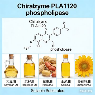 ভালো দাম Chiralzyme PLA1120। তেল ডিগমিংয়ের জন্য উচ্চ-কার্যকারিতা ফসফোলিপাজ এ১। অনলাইন