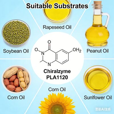 ভালো দাম KDN Chiralzyme PLA1120: অপরিশোধিত তেল পরিশোধের জন্য সুপরিয়র তেল ডিগুমিং এনজাইম অনলাইন