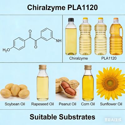 ভালো দাম Chiralzyme PLA1120 | সাশ্রয়ী তেল পরিশোধনের জন্য ফুড-গ্রেড এনজাইম অনলাইন